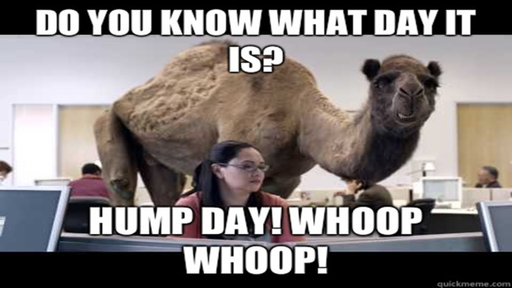 hump_day.png